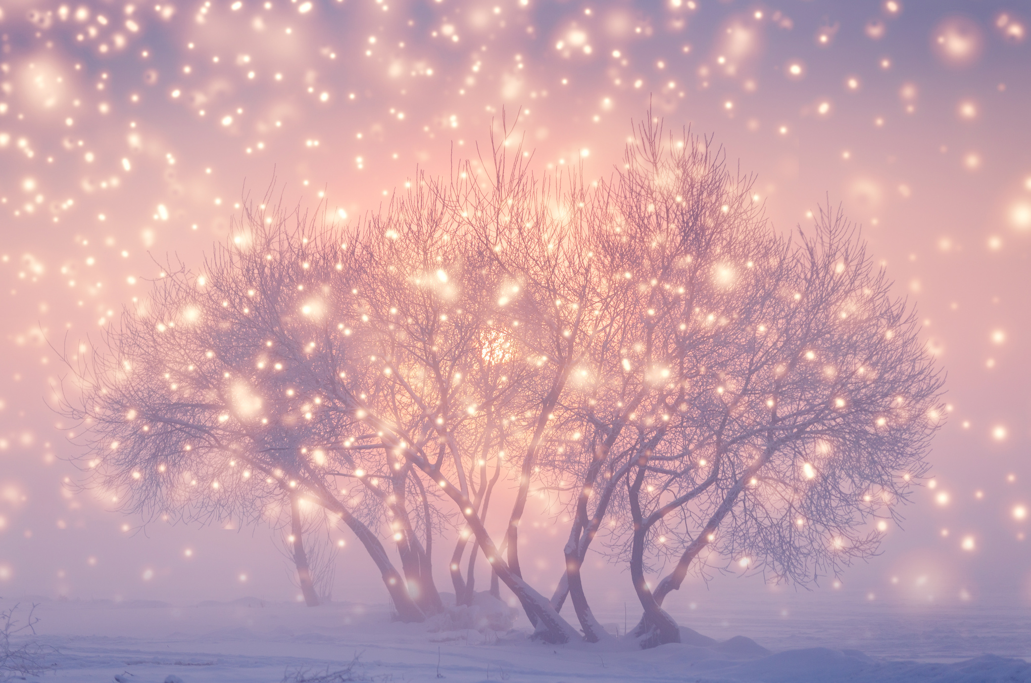 Magic fairy Christmas evening